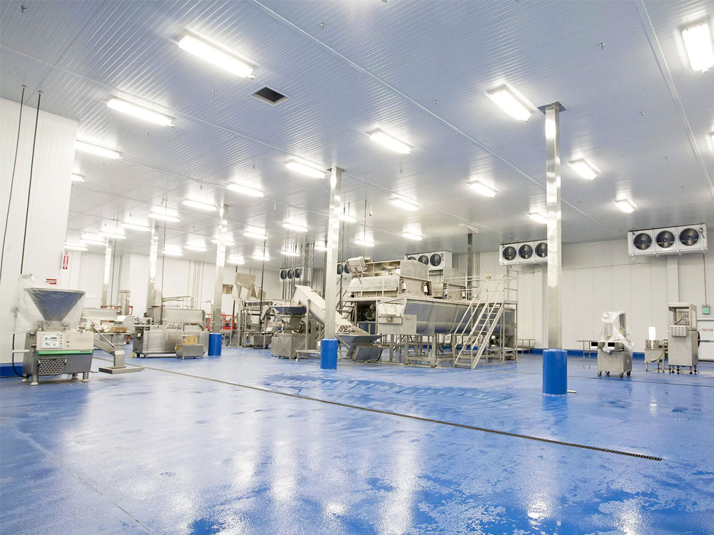 潔凈車間頂部照明：選對燈具，守護微塵禁區(qū)